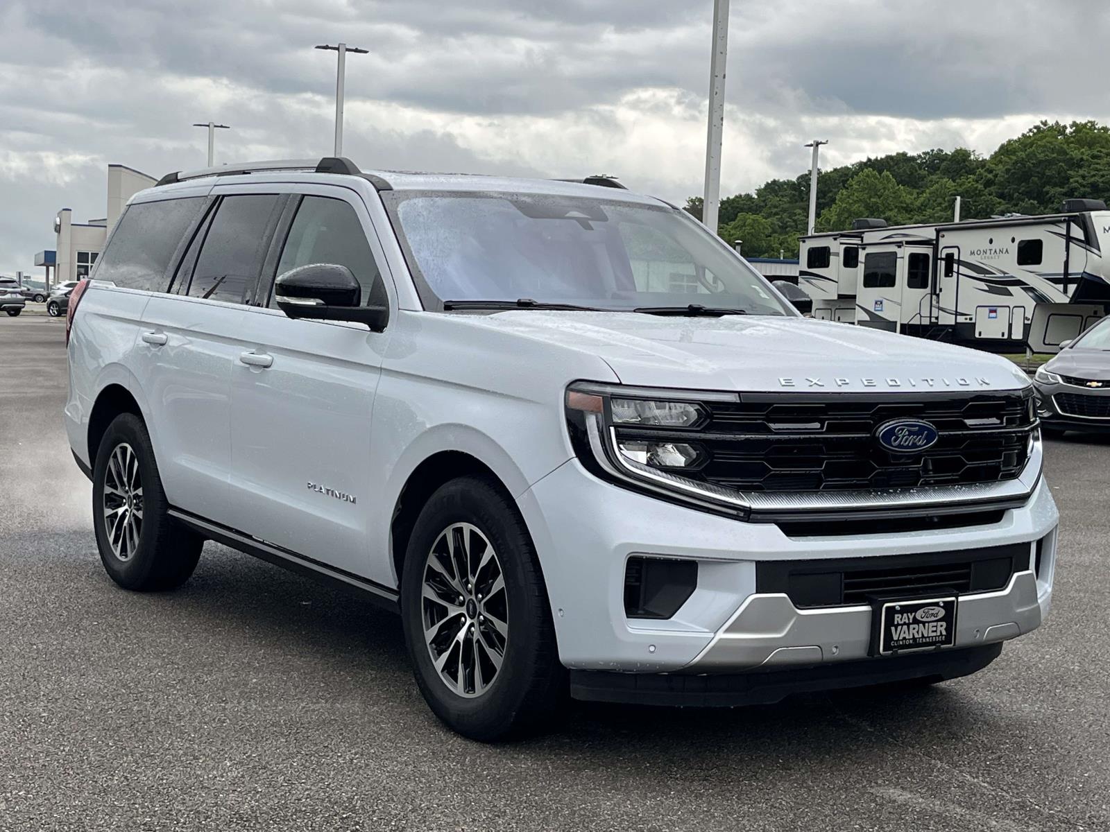 2025 Ford Expedition Platinum 4x4's photo