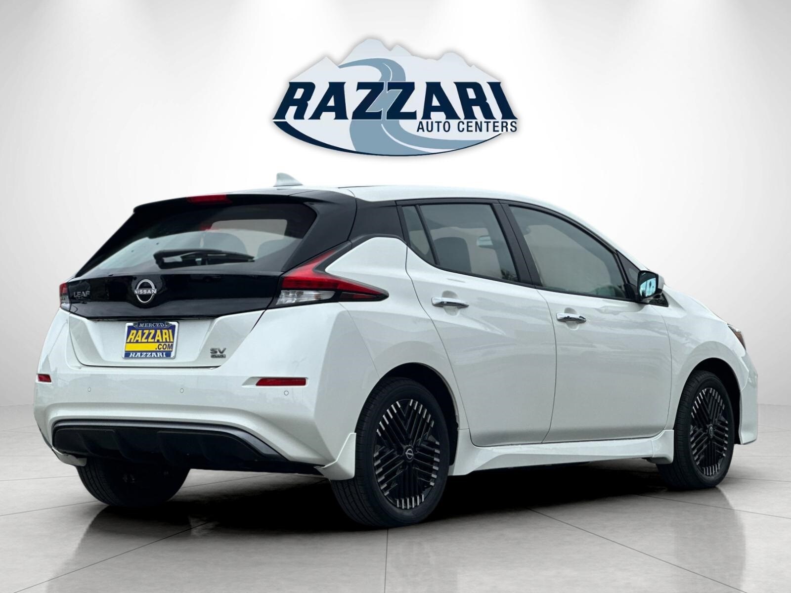2025 Nissan Leaf SV Plus photo 3