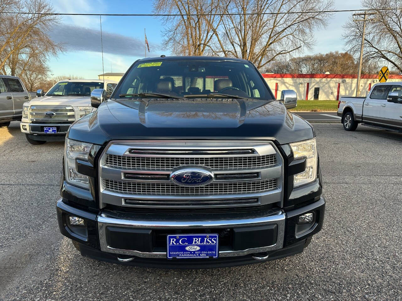 Used 2017 Ford F-150 Platinum with VIN 1FTEW1EG1HFC35466 for sale in Faribault, Minnesota