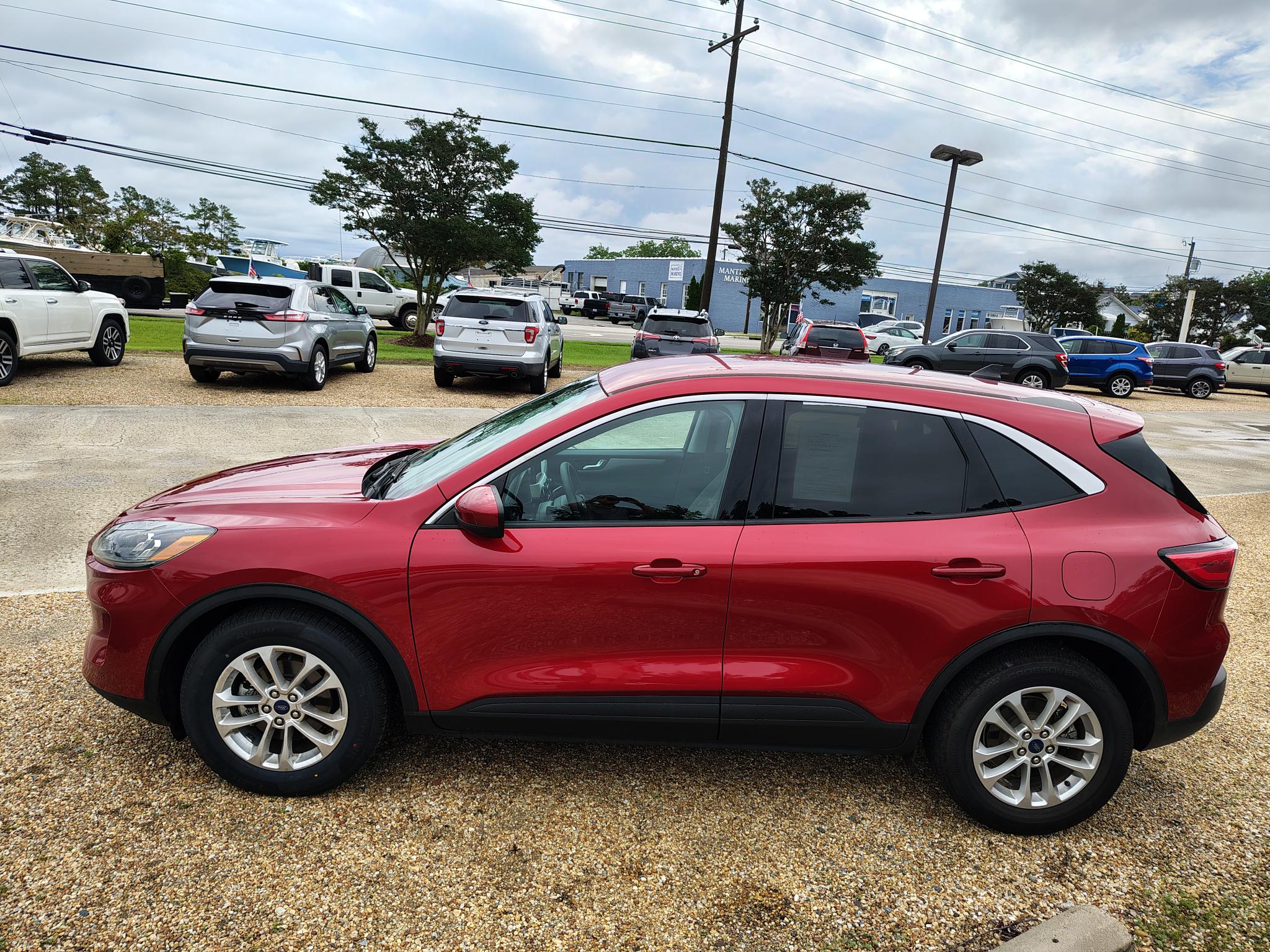 Used 2021 Ford Escape SE with VIN 1FMCU0G67MUA03726 for sale in Manteo, NC