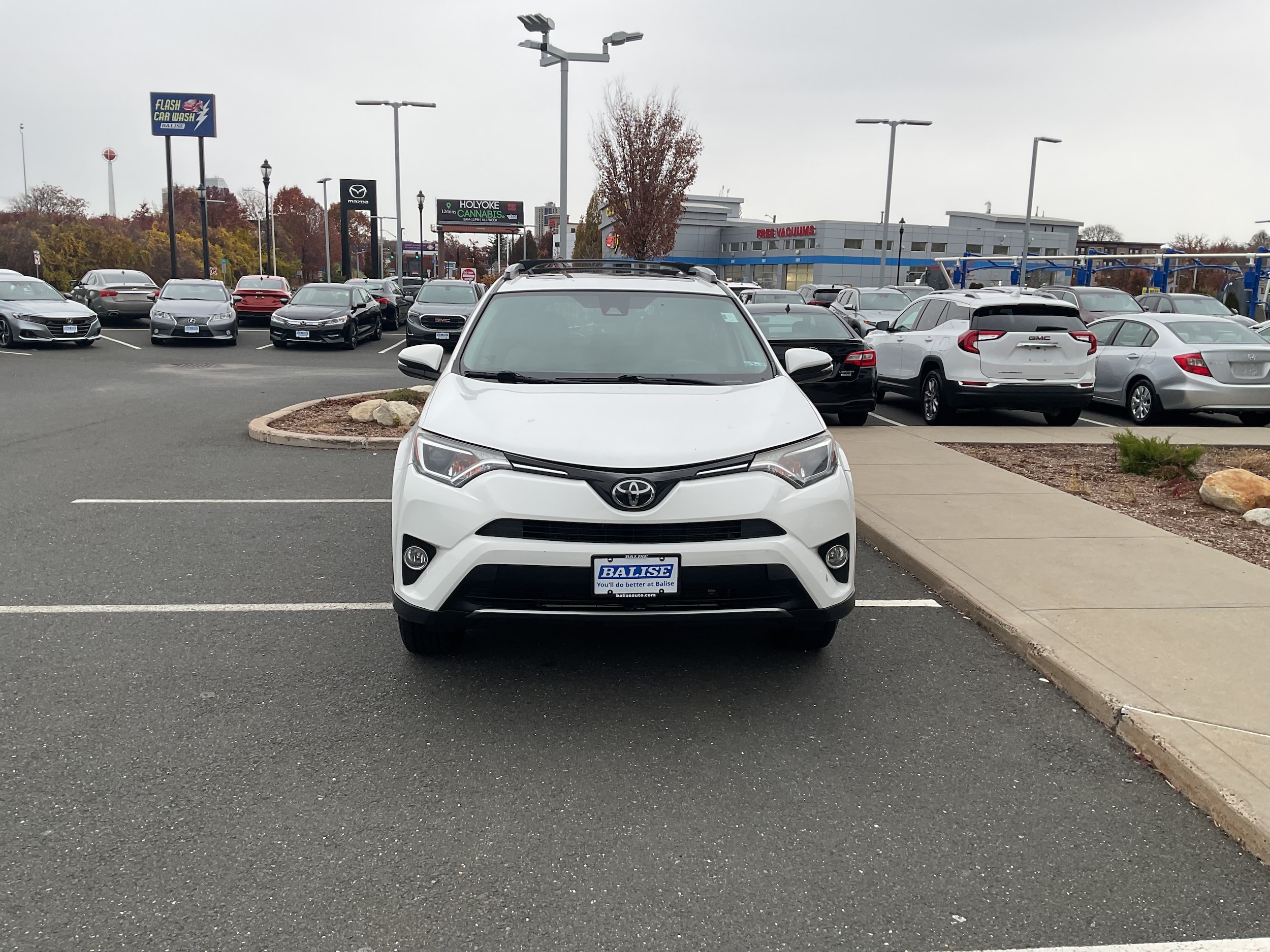 2017 Toyota RAV4 XLE's photo