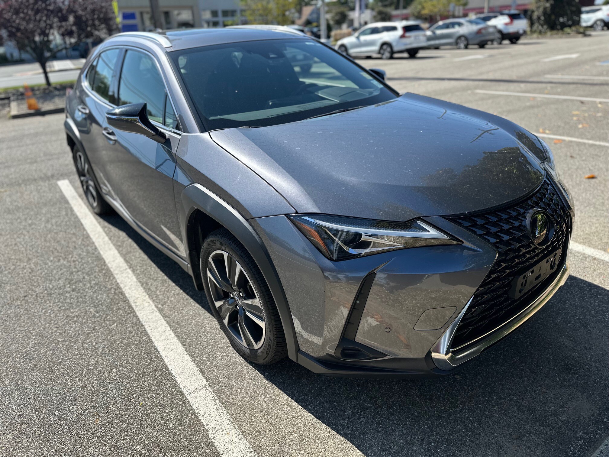 2021 Lexus UX 250h photo 3