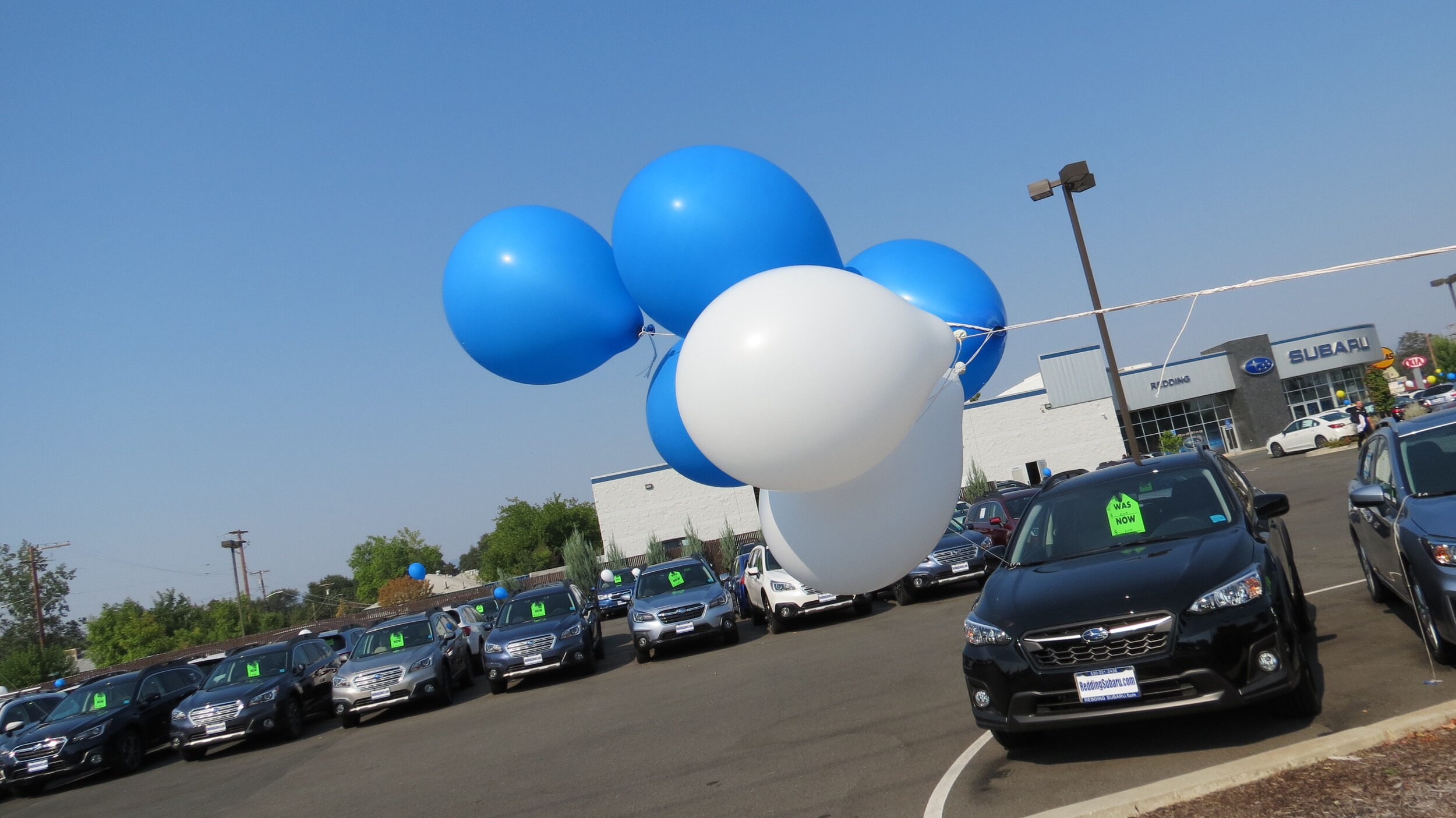 Customer Appreciation Event