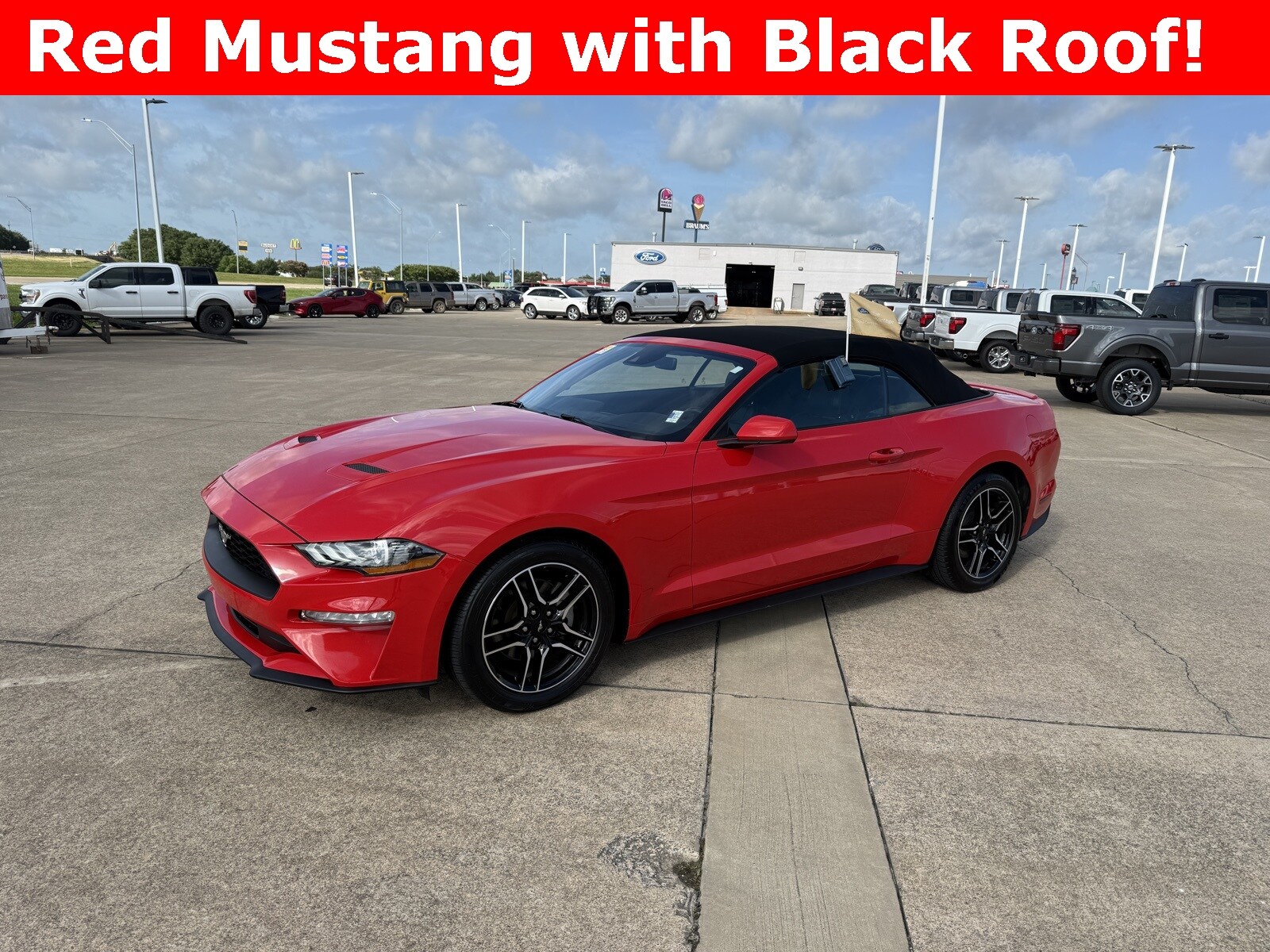 2023 Ford Mustang EcoBoost Premium Convertible photo 2