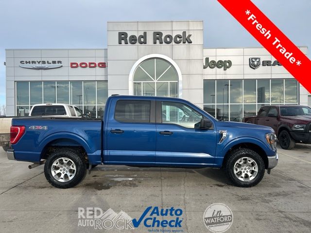 2023 Ford F-150 XLT's photo