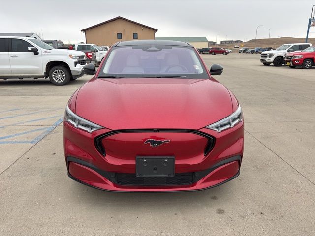 Used 2021 Ford Mustang Mach-E Premium AWD with VIN 3FMTK3SU7MMA03906 for sale in Watford City, ND