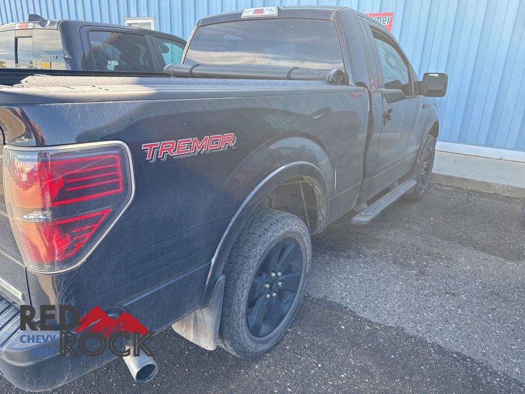 2014 Ford F-150 FX4 Tremor photo 3