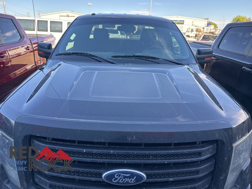 2014 Ford F-150 FX4 Tremor photo 2