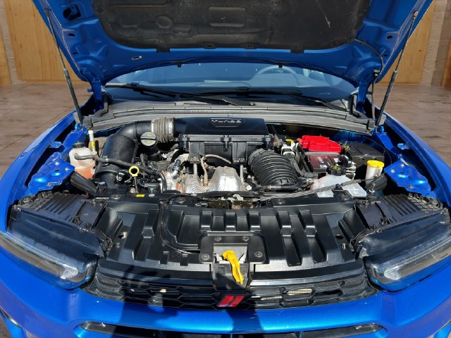 Photo 23
