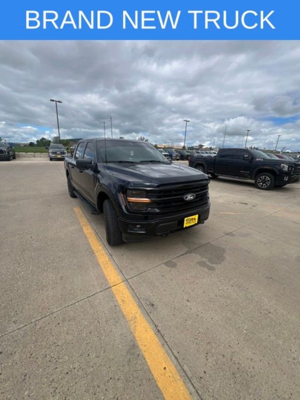 Used 2025 Ford F-150 XLT Truck