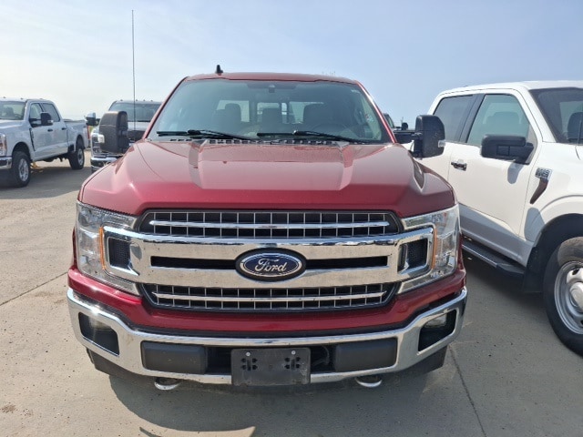 Used 2019 Ford F-150 XLT with VIN 1FTFW1E48KKF02756 for sale in Williston, ND