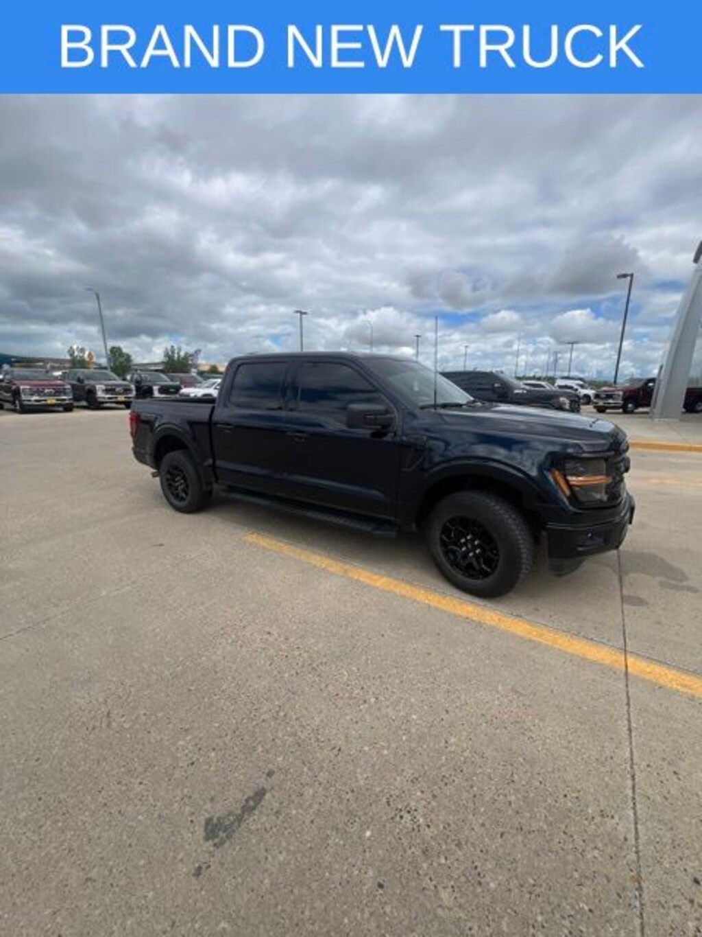 Used 2025 Ford F-150 XLT Truck