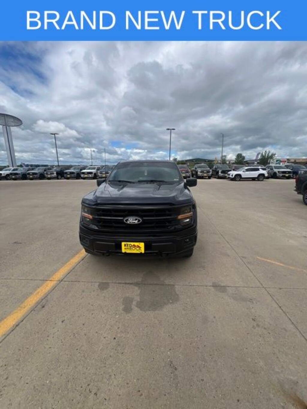Used 2025 Ford F-150 XLT Truck