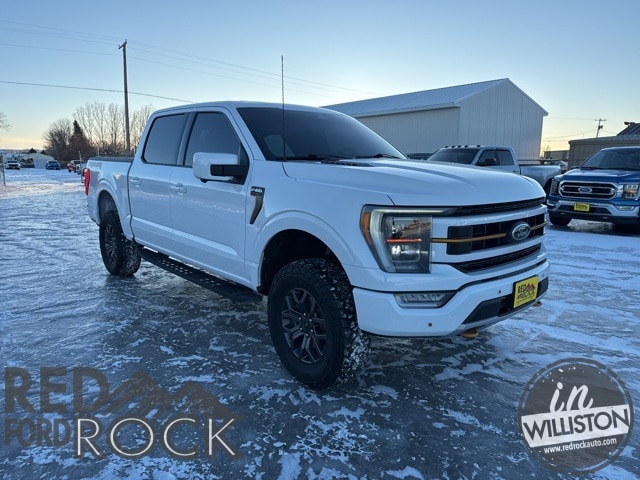 2023 Ford F-150 Tremor's photo