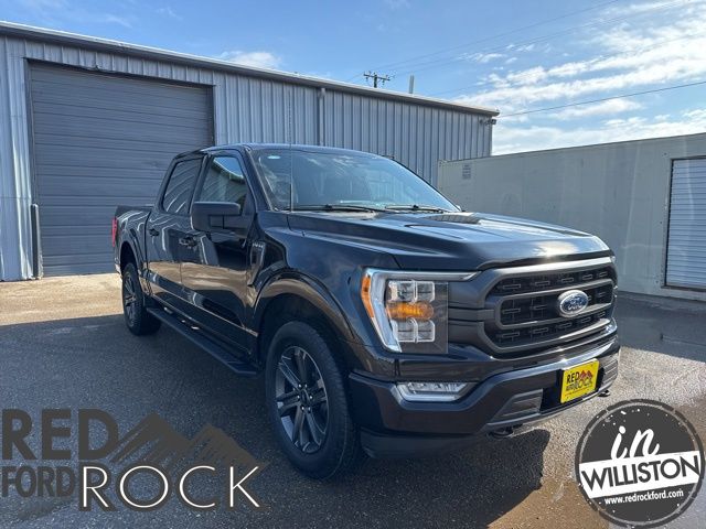 2023 Ford F-150 XLT 4x4 SuperCrew 5-1/2 Box's photo