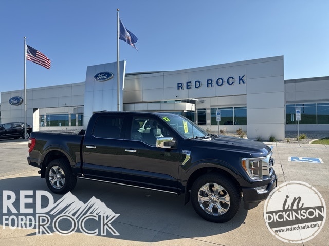 2023 Ford F-150 Platinum's photo