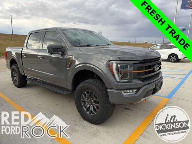 2021 Ford F-150 Tremor's photo