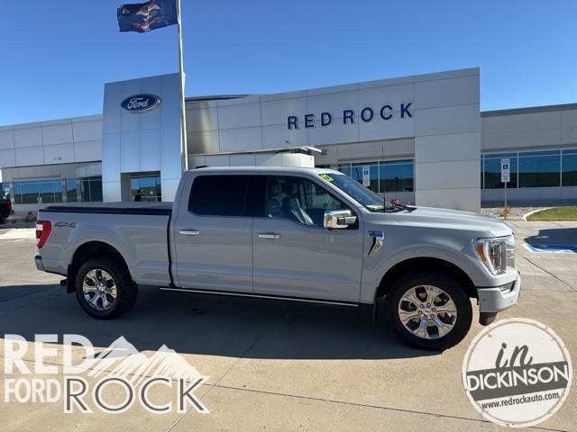 2023 Ford F-150 Platinum's photo