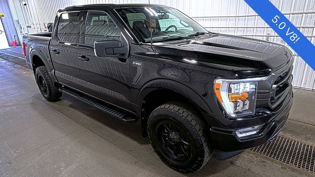2023 Ford F-150 XLT 4x4 SuperCrew 145 in's photo