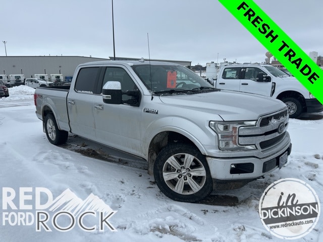 2019 Ford F-150 Platinum's photo