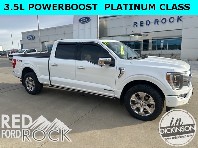 2023 Ford F-150 Platinum's photo