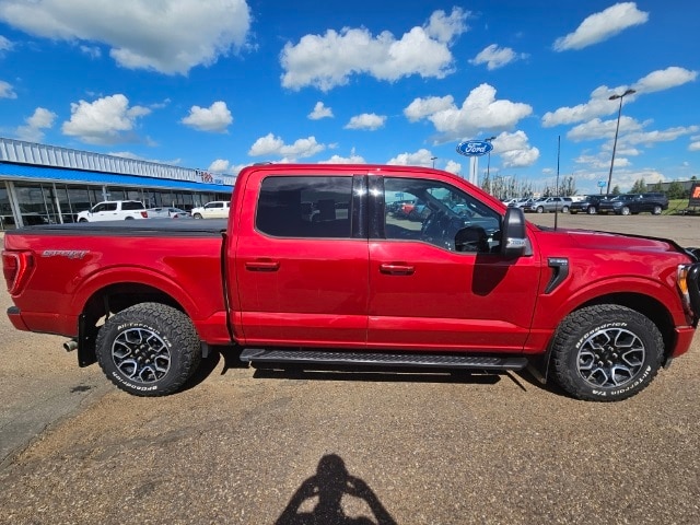 Used 2022 Ford F-150 XLT with VIN 1FTFW1E88NKE75890 for sale in Dickinson, ND