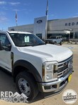 Ford F-550 Chassis