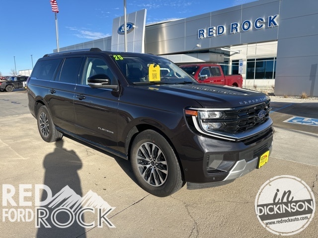 2025 Ford Expedition Platinum's photo