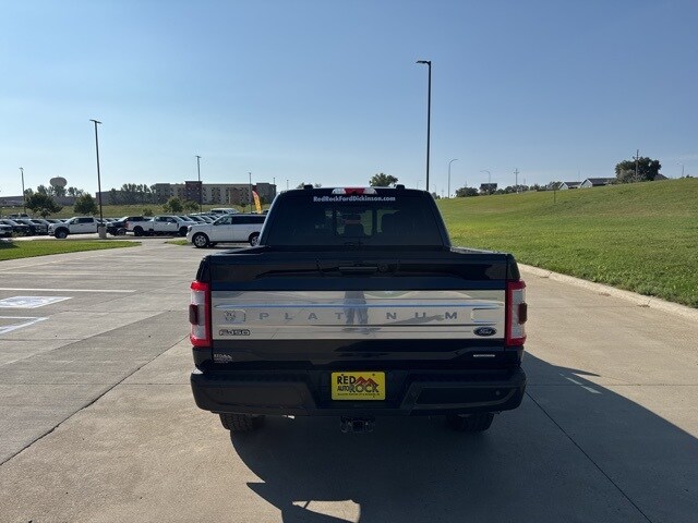 2023 Ford F-150 Platinum photo 2