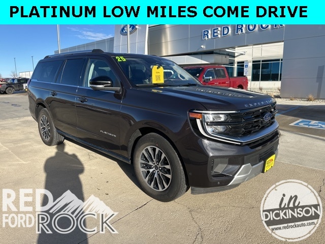 2025 Ford Expedition Platinum's photo