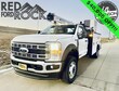 Ford F-600 Chassis