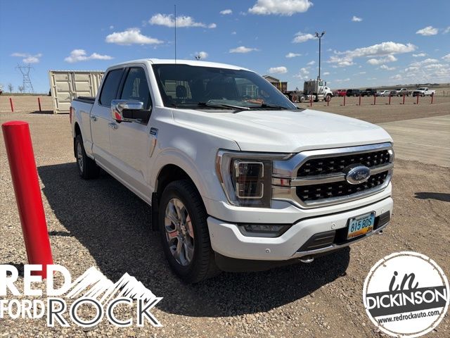 2021 Ford F-150 Platinum 4x4 SuperCrew 5-1/2 Box's photo