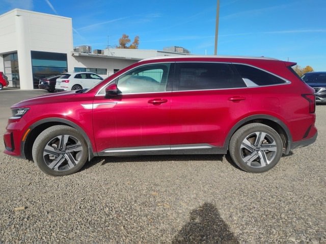 2023 Kia Sorento Hybrid EX photo 2