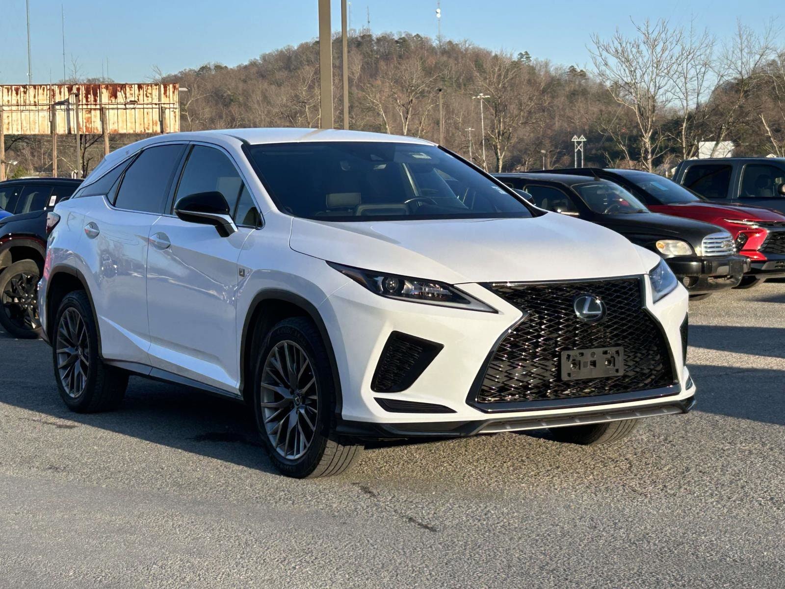 2020 Lexus RX 350 F SPORT's photo