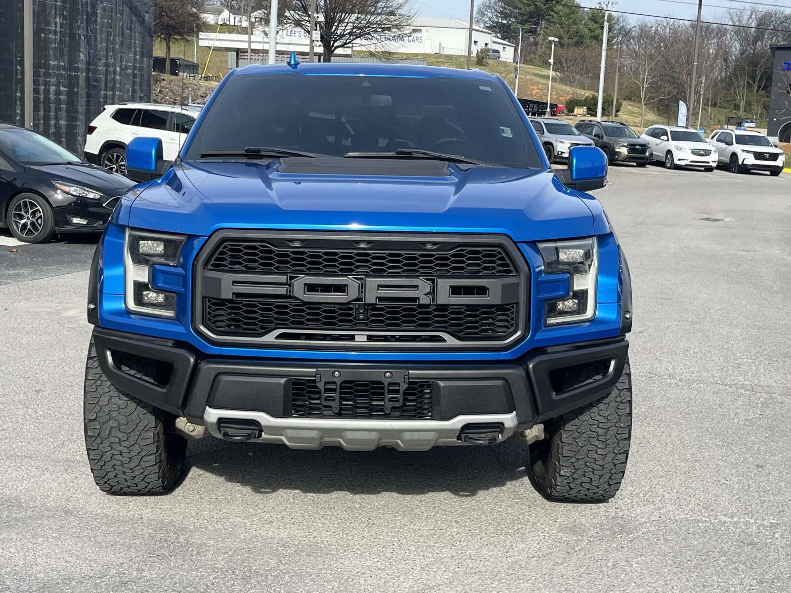 2019 Ford F-150 Raptor photo 2