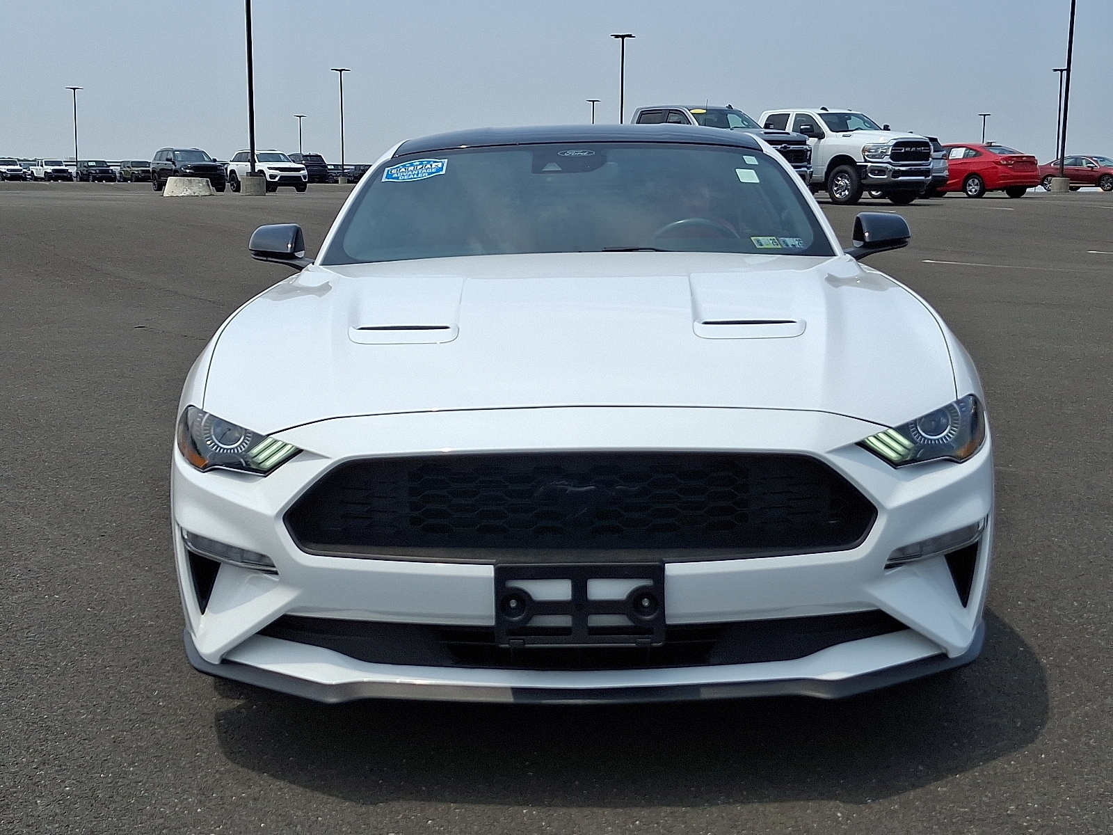 Used 2022 Ford Mustang EcoBoost Premium with VIN 1FA6P8TH0N5109077 for sale in Langhorne, PA