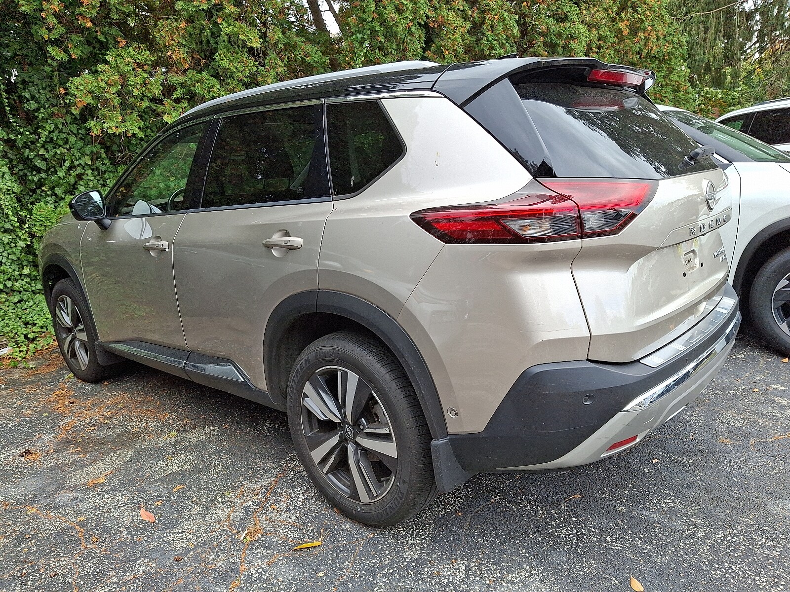 2023 Nissan Rogue Platinum AWD photo 2