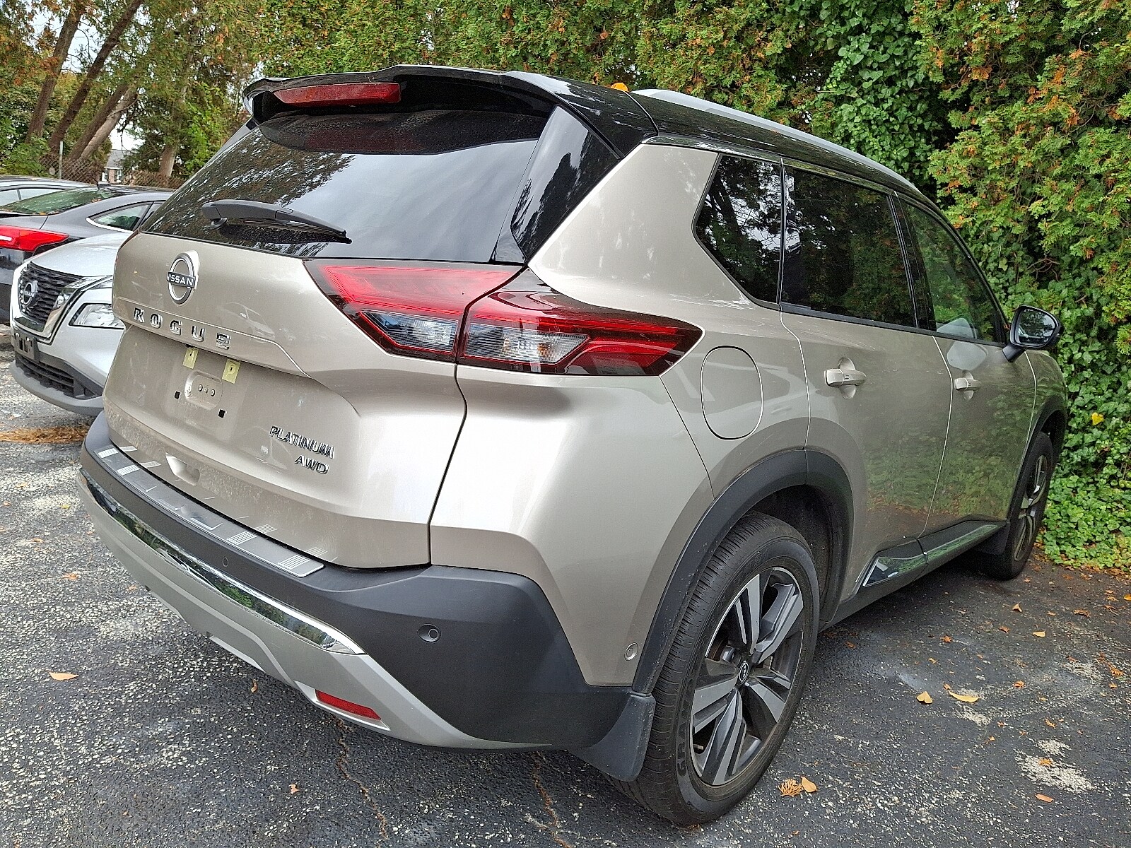 2023 Nissan Rogue Platinum AWD photo 3