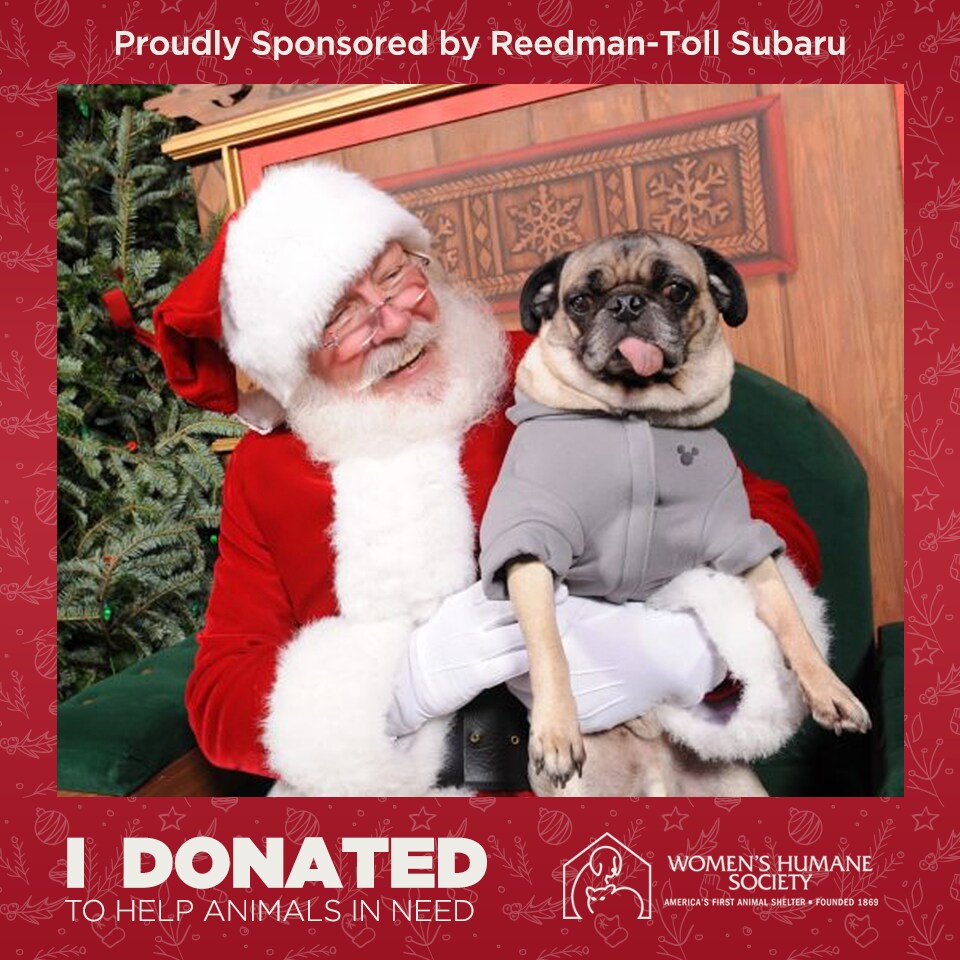 women's humane society adoption