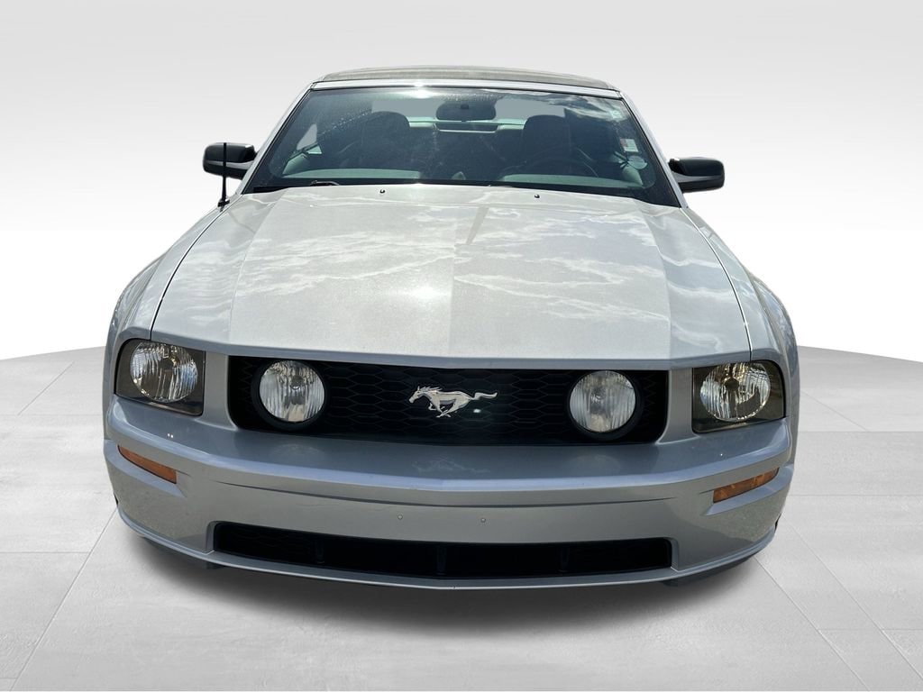 Used 2006 Ford Mustang GT Premium with VIN 1ZVFT85H665235378 for sale in Lakeland, FL