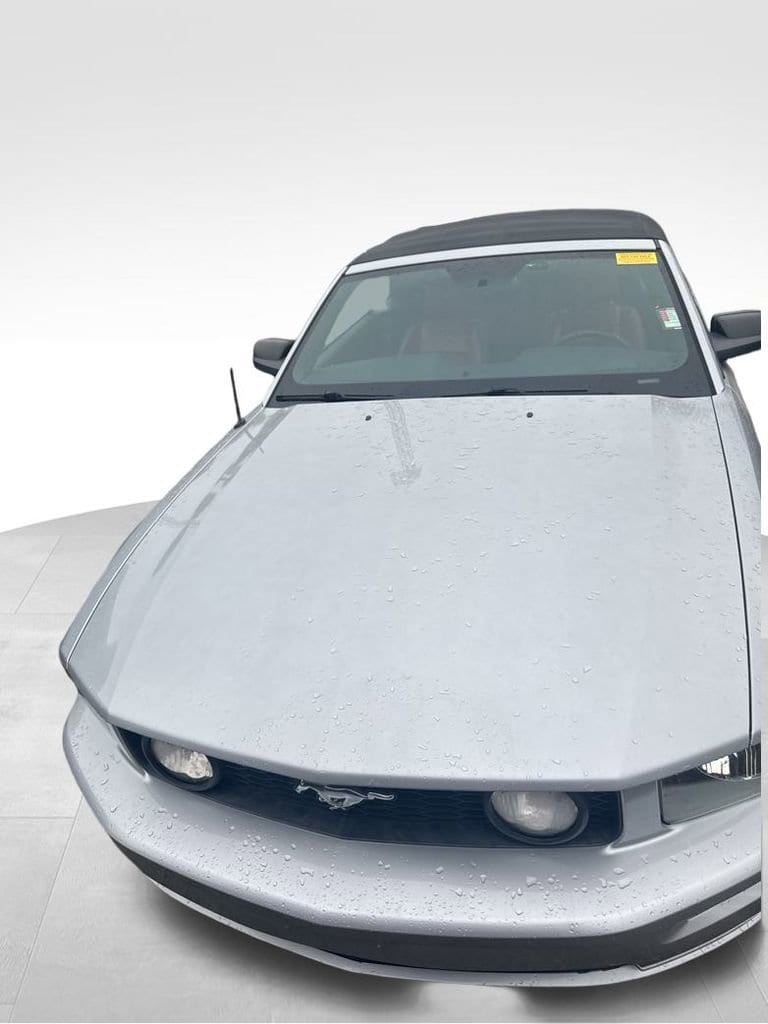 Used 2006 Ford Mustang GT Premium with VIN 1ZVFT85H665235378 for sale in Lakeland, FL