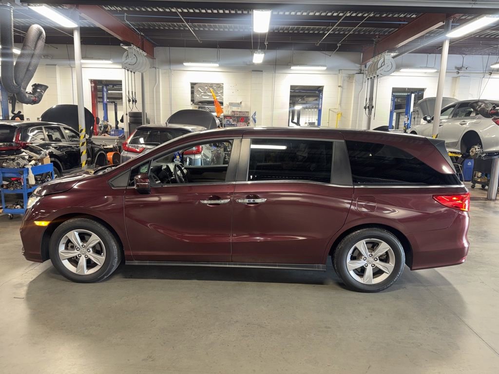2019 Honda Odyssey EX-L's photo
