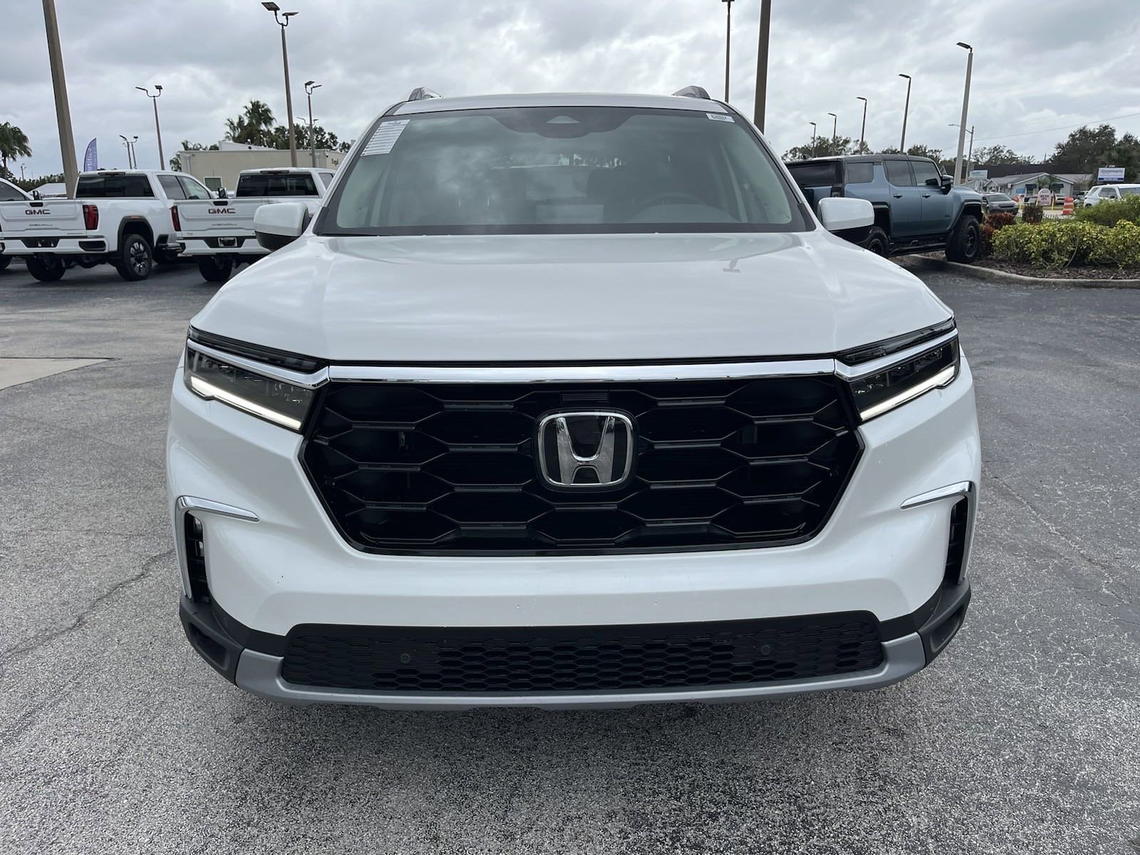 クリスマスファッション New VIN | Honda Regal at Sale For Pilot Honda 2025 ミュージック