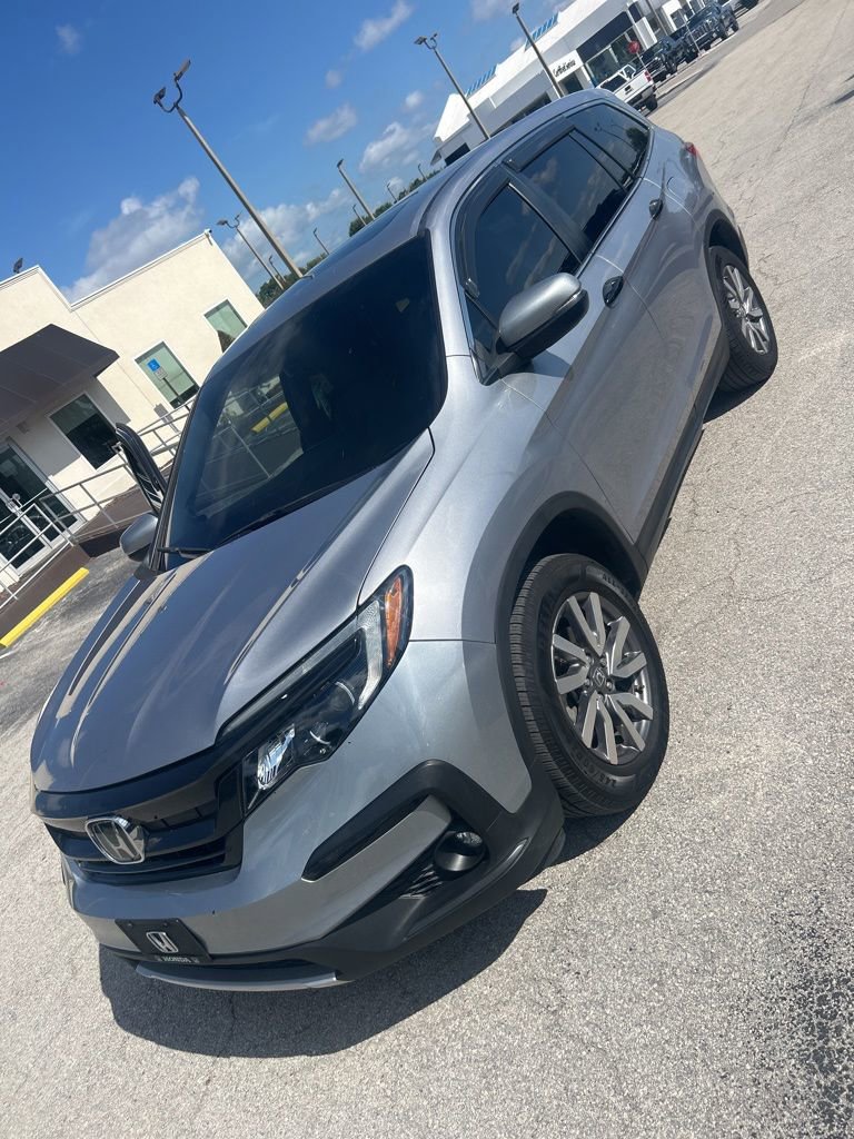 2021 Honda Pilot EX-L 2WD's photo
