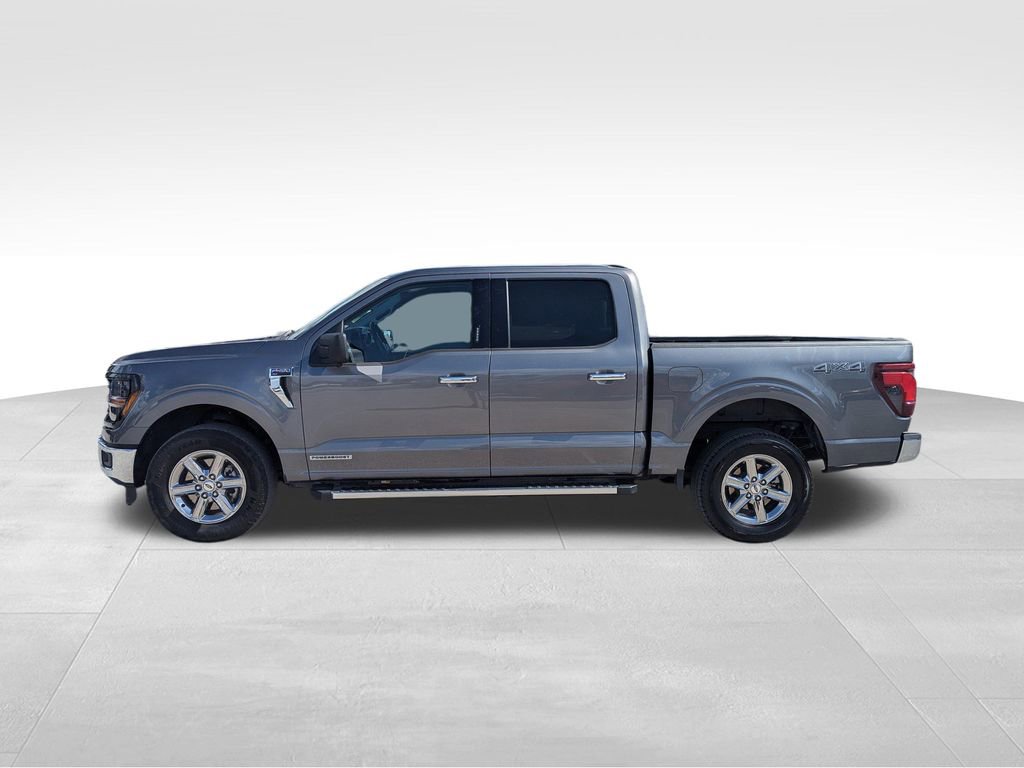 2024 Ford F-150 XLT photo 4
