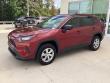 2019 Toyota RAV4 LE SUV