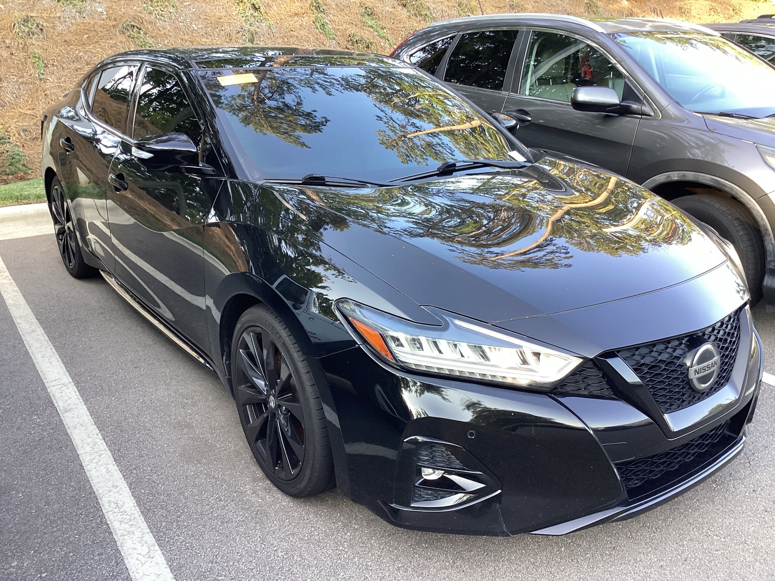 Nissan Maxima SR