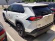 2020 Toyota RAV4 XLE SUV