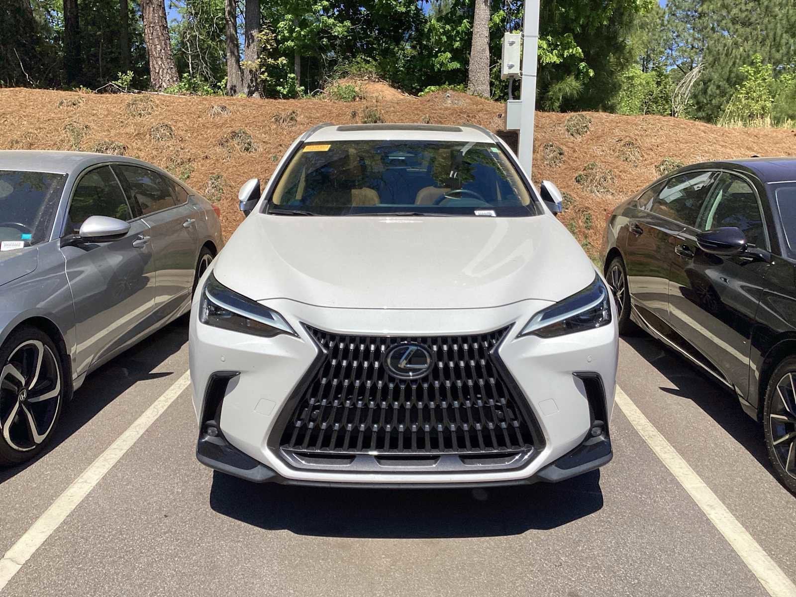 2023 LEXUS NX 350 Premium photo 2