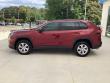 2019 Toyota RAV4 LE SUV